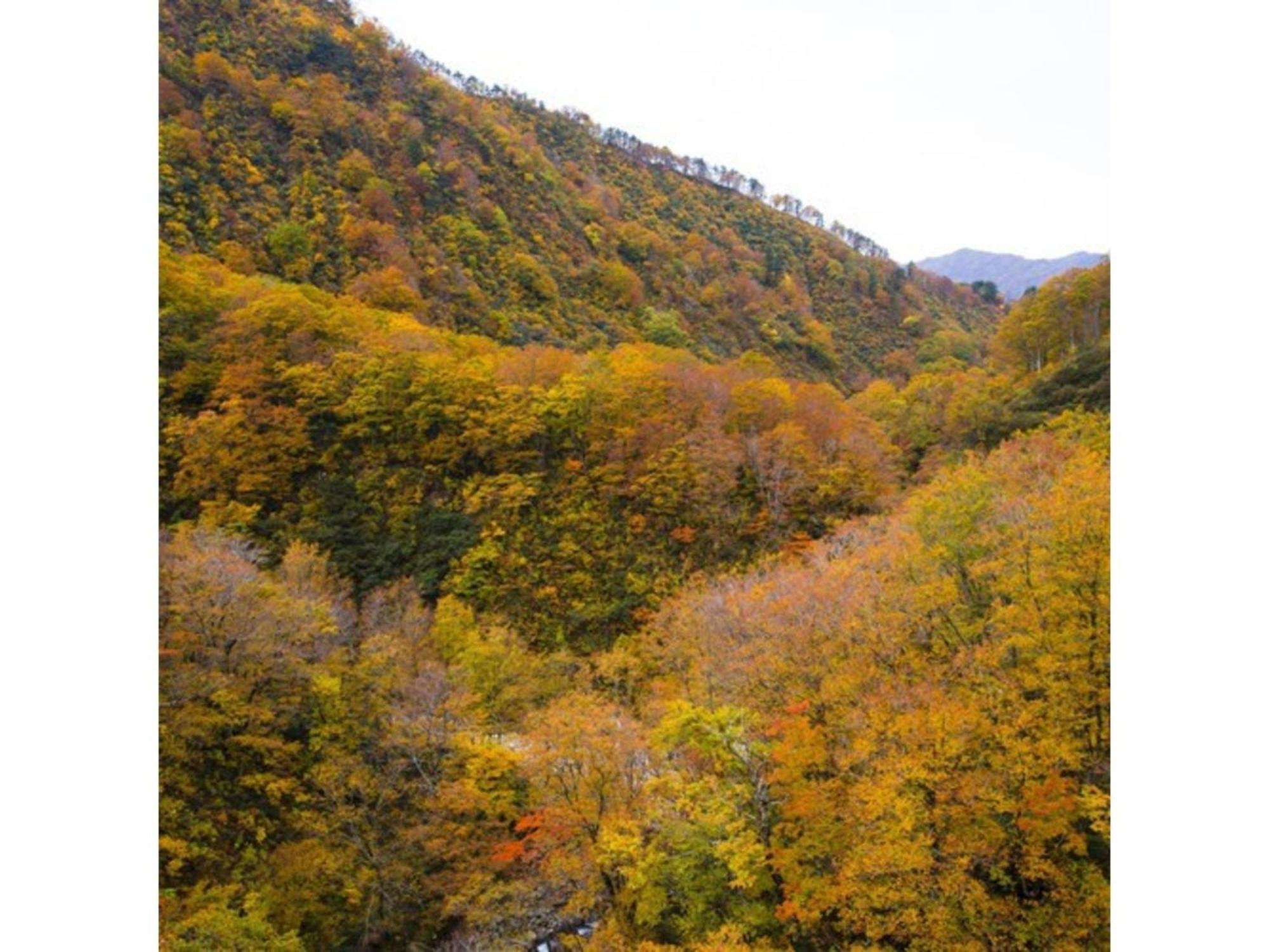 Shintainai Onsen Royal Tainai Park Hotel - Vacation Stay 90212V Exterior foto